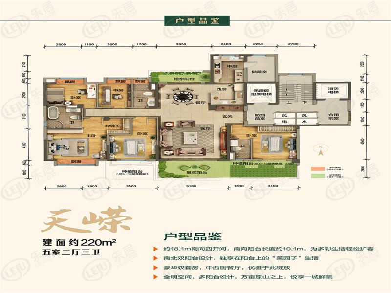 碧桂园御园五房两厅三卫户型图