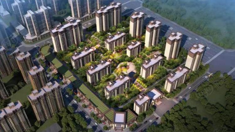 民权建业春天里