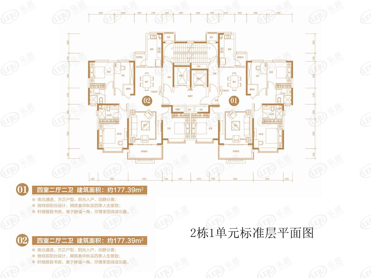 恒大绿洲2栋1单元标准层平面图 01户型约177.39㎡ 02户型约177.