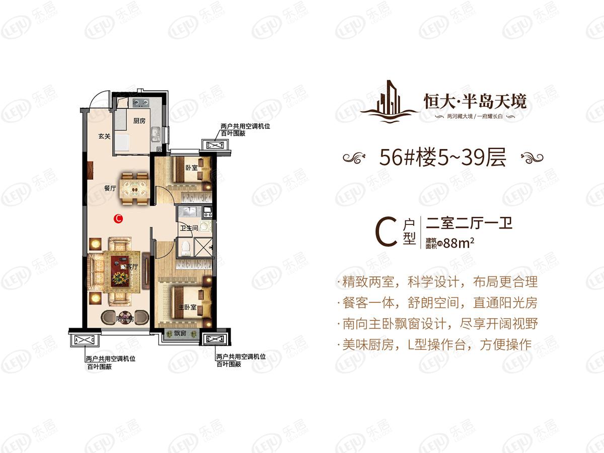 恒大半岛天境c户型户型图