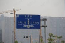 深圳湾1号位置交通图