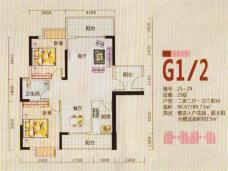 桐洋新城25-29#楼G1/2户型户型图